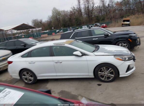 5NPE34AF2JH610591 2018 HYUNDAI SONATA White 