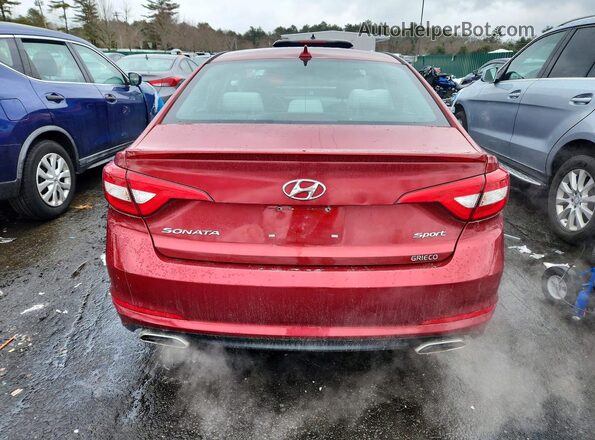 5NPE34AF4GH351210 2016 HYUNDAI SONATA Red Вид ззаду