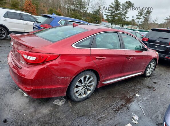 5NPE34AF4GH351210 2016 HYUNDAI SONATA Red Задня права чверть