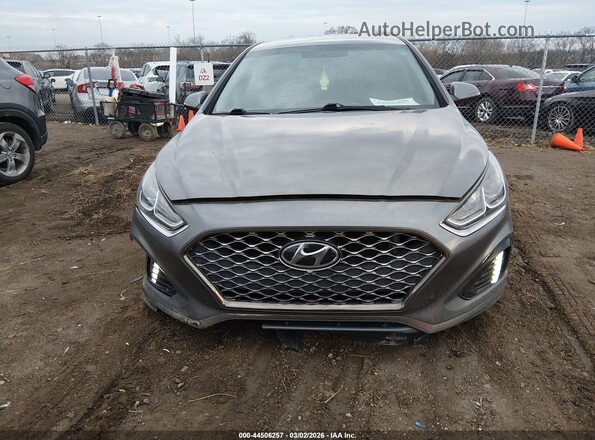 5NPE34AF4KH816299 2019 HYUNDAI SONATA White 