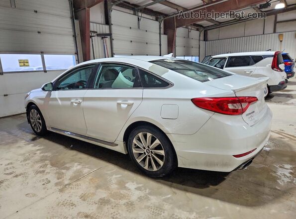 5NPE34AF6HH572633 2017 HYUNDAI SONATA Белый Задняя левая четверть
