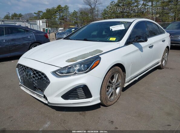5NPE34AF6JH710323 2018 HYUNDAI SONATA Белый Вид спереди