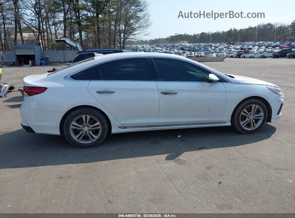 5NPE34AF6JH710323 2018 HYUNDAI SONATA Белый Вид задней части салона
