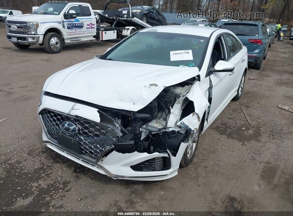 5NPE34AF6KH779224 2019 HYUNDAI SONATA White 