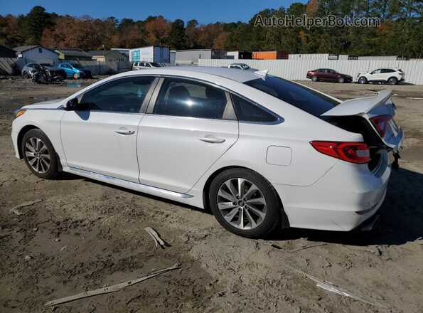 5NPE34AF7GH262554 2016 HYUNDAI SONATA White უკანა მარცხენა