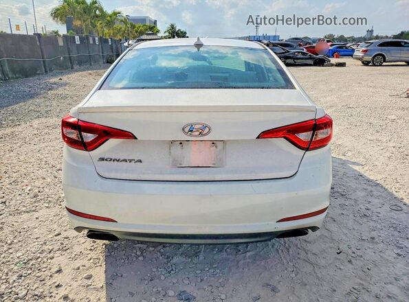 5NPE34AF8HH535017 2017 HYUNDAI SONATA Белый 