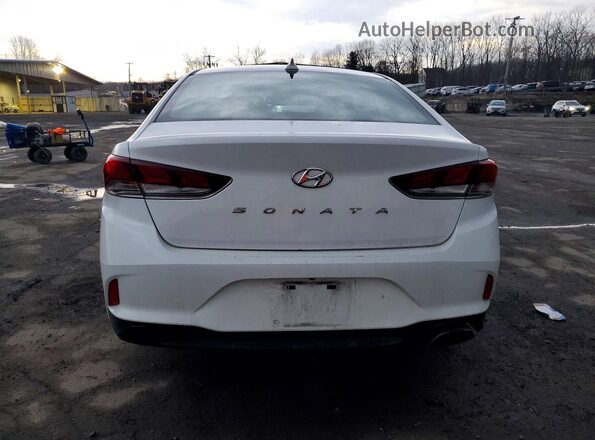 5NPE34AF8KH764210 2019 HYUNDAI SONATA White 