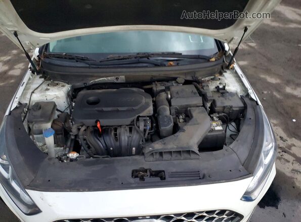 5NPE34AF8KH764210 2019 HYUNDAI SONATA White 
