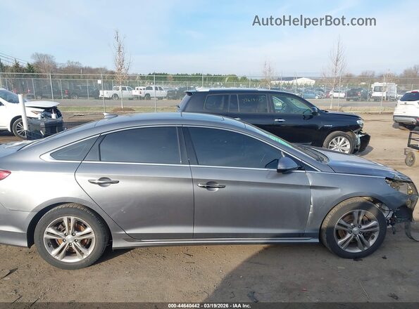 5NPE34AF8KH799300 2019 HYUNDAI SONATA Серый 