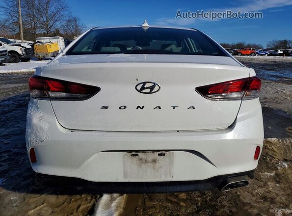 5NPE34AFXJH635125 2018 HYUNDAI SONATA Белый Вид сзади