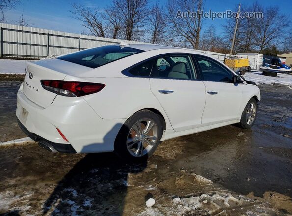5NPE34AFXJH635125 2018 HYUNDAI SONATA Белый Задняя правая четверть