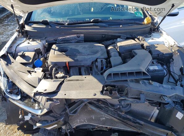 5NPE34AFXJH635125 2018 HYUNDAI SONATA Белый Вид задней части салона
