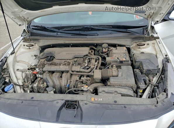 5NPLL4AG0MH025688 2021 HYUNDAI ELANTRA White Սալոնի հետևի տեսք