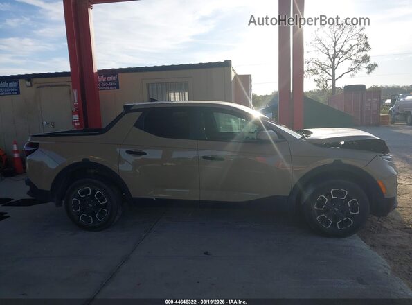 5NTJADAEXPH068176 2023 HYUNDAI SANTA CRUZ Tan Вид задньої частини салону