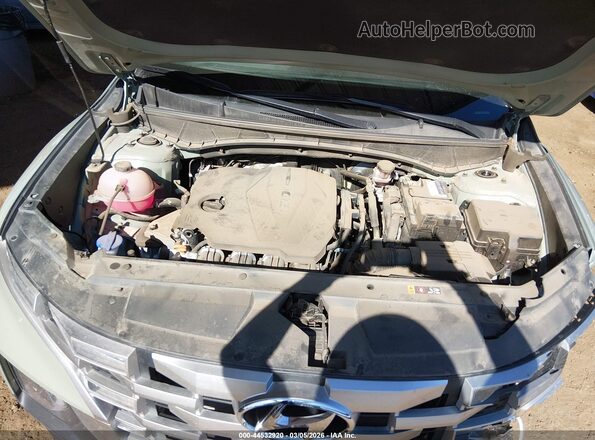 5NTJB4DEXRH117467 2024 HYUNDAI SANTA CRUZ Green Widok z tyłu