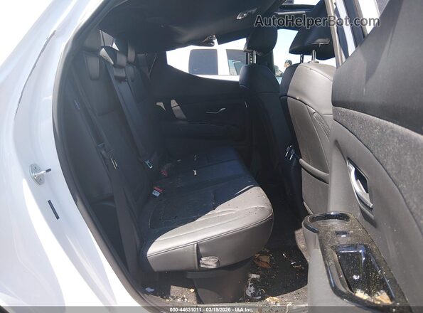 5NTJC4DE4SH132954 2025 HYUNDAI SANTA CRUZ White VIN կոդի պիտակի տեսք