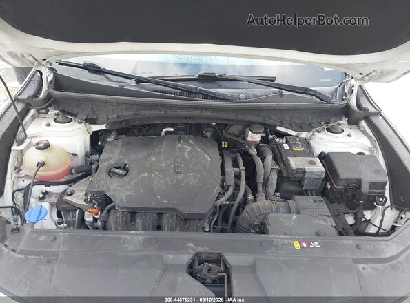 5NTJCDAE3NH018193 2022 HYUNDAI SANTA CRUZ White Հետևի տեսք
