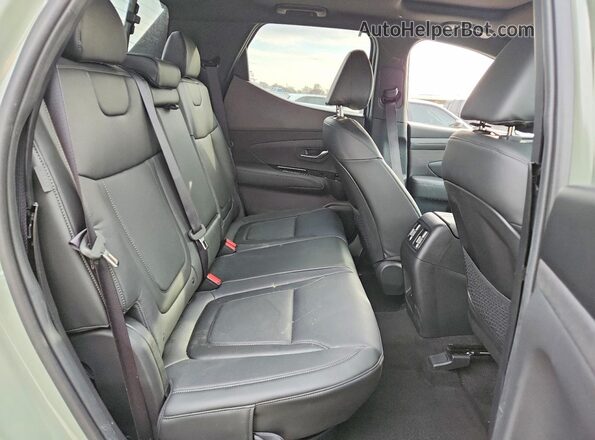 5NTJEDDF0SH154971 2025 HYUNDAI SANTA Green Vista interior trasera