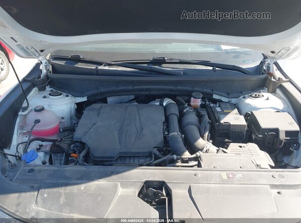 5NTJEDDF5RH125492 2024 HYUNDAI SANTA CRUZ White Widok z tyłu