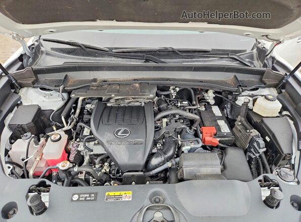 5TDAAAA63RS009232 2024 LEXUS TX White Engine compartment view