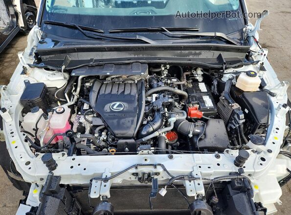 5TDAAAA64RS011944 2024 LEXUS TX White Vista del compartimento del motor