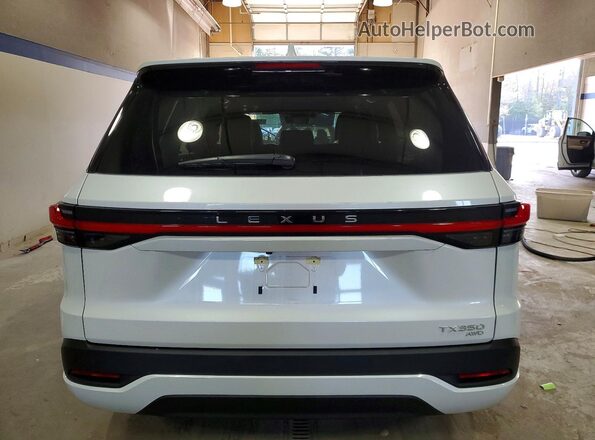 5TDAAAB6XSS035962 2025 LEXUS TX White Rear view