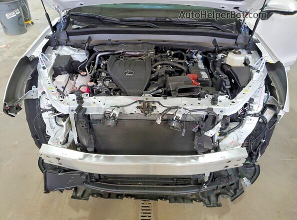 5TDAAAB6XSS035962 2025 LEXUS TX White Engine compartment view