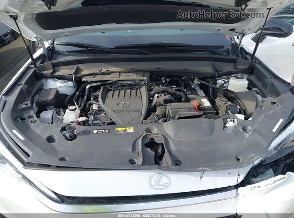 5TDAAAB6XSS036142 2025 LEXUS TX 350 White Հետևի տեսք
