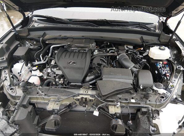5TDABAB61RS004266 2024 LEXUS TX 500H Black Vista trasera