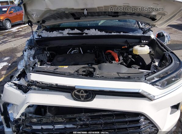 5TDACAB54RS017744 2024 TOYOTA LIMITED White Rear view