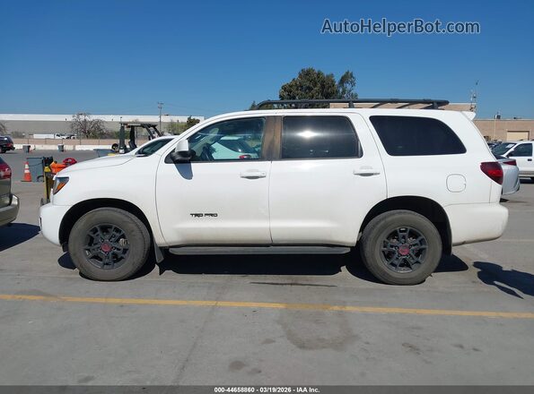 5TDBY5G10LS178876 2020 TOYOTA SEQUOIA White 