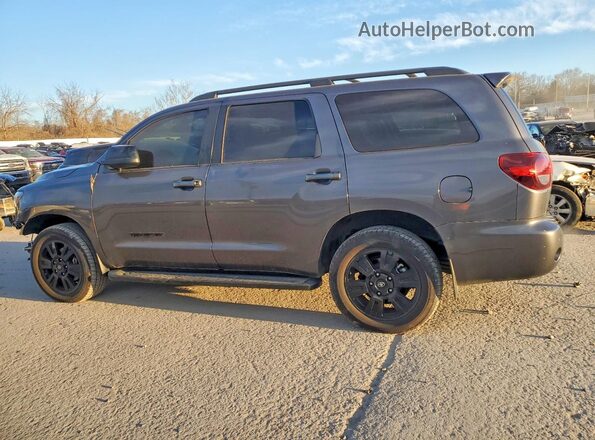 5TDBY5G19JS158378 2018 TOYOTA SEQUOIA Gray უკანა მარცხენა