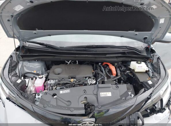 5TDCSKFC6TS229353 2026 TOYOTA SIENNA Pewter უკანა ხედი