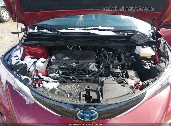 5TDDRKEC1MS056666 2021 TOYOTA SIENNA Red Widok z tyłu