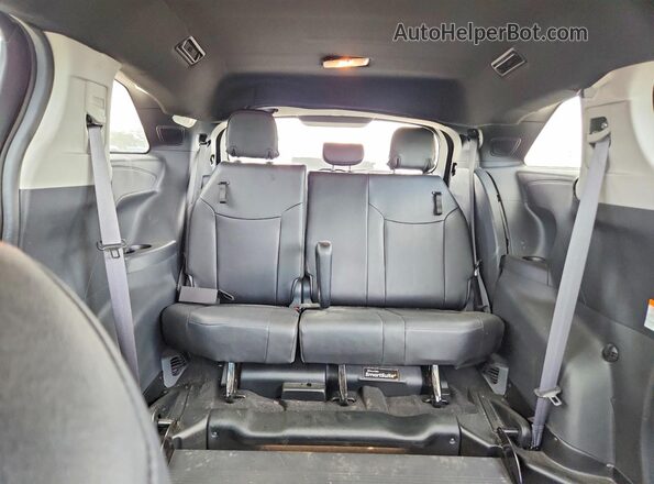 5TDDRKEC6SS231877 2025 TOYOTA SIENNA Black Vista de los asientos traseros