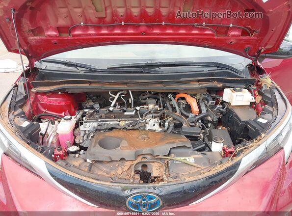 5TDDSKFC6MS034651 2021 TOYOTA SIENNA Red Հետևի տեսք