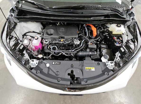 5TDESKFC6TS236604 2026 TOYOTA SIENNA Белый 
