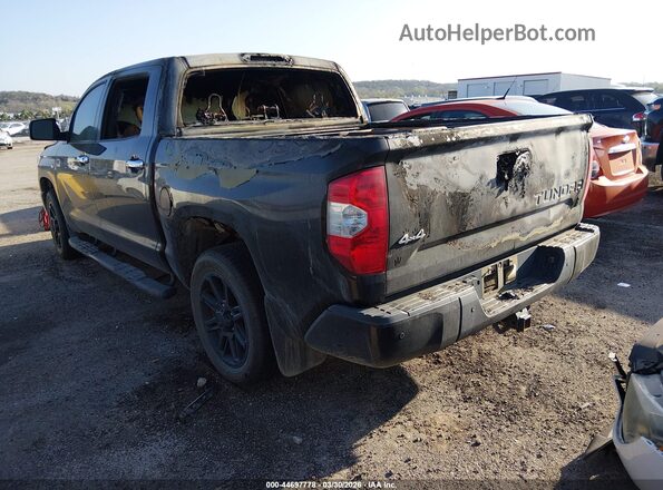 5TFAY5F19KX814703 2019 TOYOTA TUNDRA Gray Trasero izquierdo