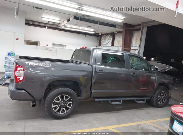 5TFDW5F12HX645099 2017 TOYOTA TUNDRA Gray Панорамний вид салону 360°