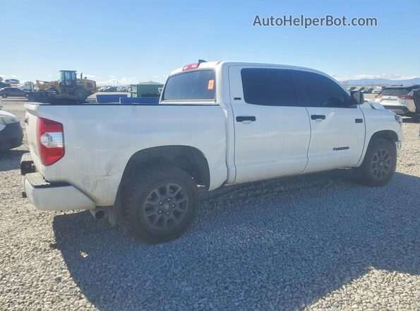5TFDY5F17MX002610 2021 TOYOTA TUNDRA Белый Задняя правая четверть