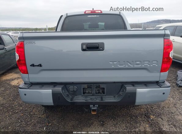 5TFDY5F19MX023197 2021 TOYOTA TUNDRA Серый 
