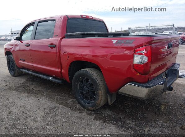 5TFEM5F18HX110725 2017 TOYOTA TUNDRA Red Tył lewy
