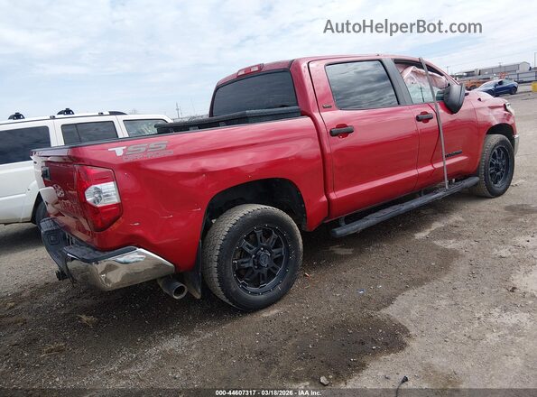 5TFEM5F18HX110725 2017 TOYOTA TUNDRA Red Tył prawy