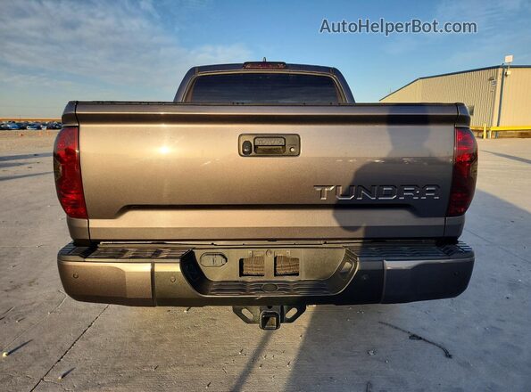 5TFEY5F1XMX297982 2021 TOYOTA TUNDRA Gray Widok z tyłu