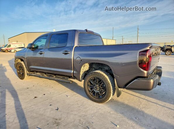 5TFEY5F1XMX297982 2021 TOYOTA TUNDRA Gray Tył lewy
