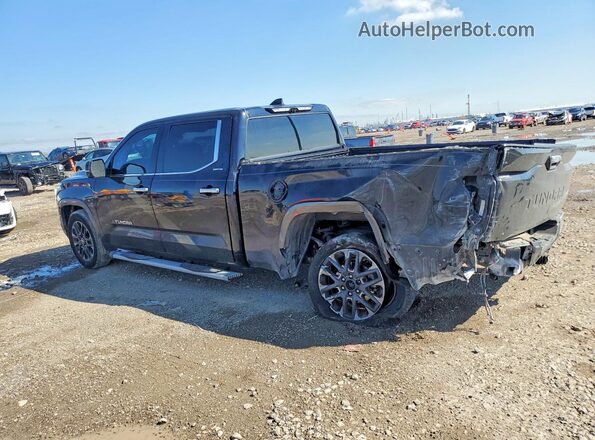 5TFJA5BC1NX001064 2022 TOYOTA LIMITED Черный Задняя левая четверть