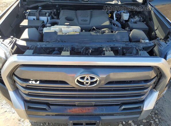5TFJA5BC1NX001064 2022 TOYOTA LIMITED Черный Вид задней части салона