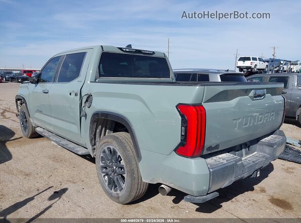 5TFJA5DB6SX299451 2025 TOYOTA LIMITED Серый Задняя левая четверть