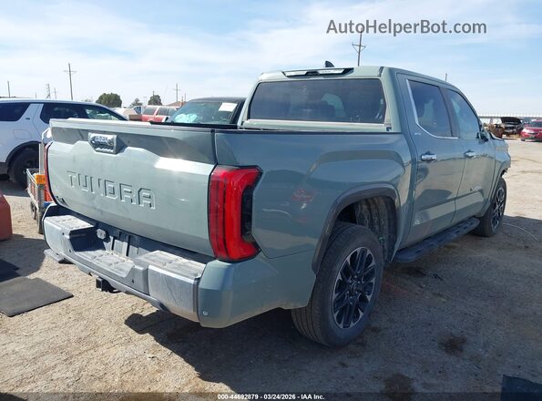 5TFJA5DB6SX299451 2025 TOYOTA LIMITED Серый Задняя правая четверть