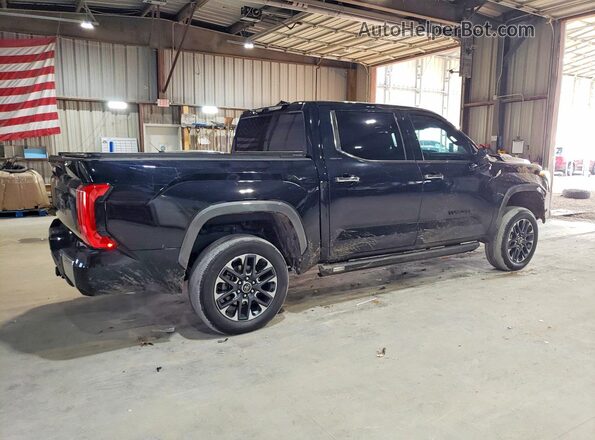 5TFJC5DB2PX018442 2023 TOYOTA LIMITED Black 